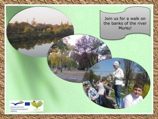 Join us for a walk on
the banks of the river
Mureș!
 