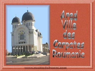 Arad Ville des Carpates Roumanie 