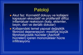 Patoloji
 Akut faz: Konnektif dokuyu ve kollajeni
  kapsayan eksudatif ve proliferatif diffüz
  inflamatuar reaksiyon (kalp, eklemler,
  beyin, deri ve derialtı dokular)
 Kollajendeki temel yapısal değiĢiklik
  fibrinoid dejenerasyon: modifiye büyük
  fibrohistiyositik hücreler (Aschoff
  hücreleri) içeren mononükleer hücre
  infiltrasyonu
 