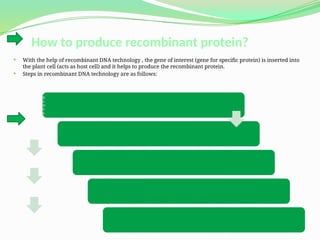 Recombinant protein production in plants | PPTX