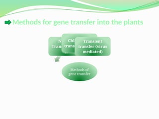 Recombinant protein production in plants | PPTX