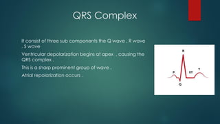 QRS Complex
It consist of three sub components the Q wave , R wave
, S wave
Ventricular depolarization begins at apex , causing the
QRS complex .
This is a sharp prominent group of wave .
Atrial repolarization occurs .
 