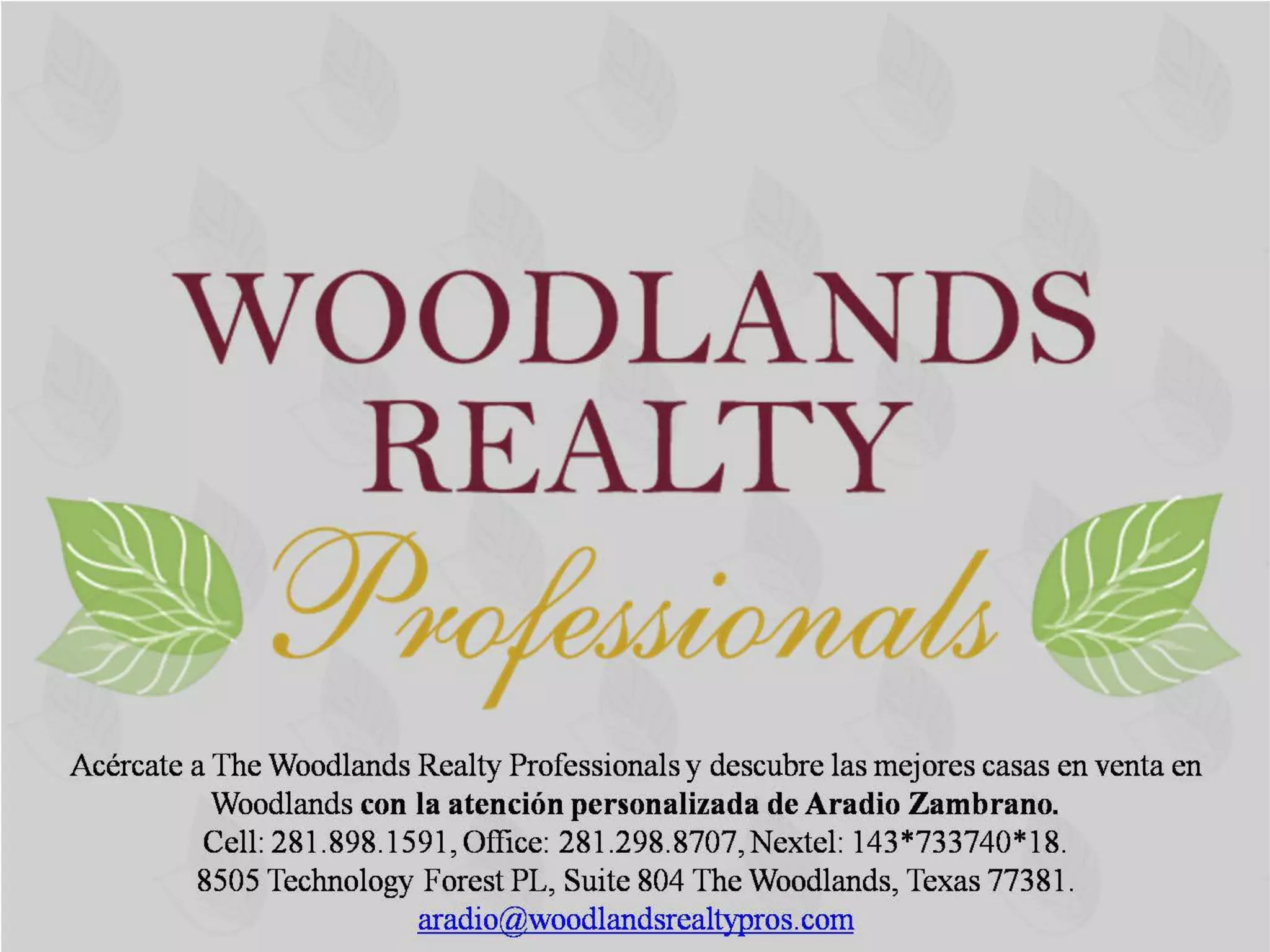 Casas en venta en The Woodlands PPT