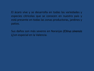 El ácaro vive y se desarrolla en todas las variedades y especies citrícolas que se conocen en nuestro país y está presente en todas las zonas productoras, jardines y patios. Sus daños son más severos en Naranjas (Citrus sinensis L) en especial en la Valencia.