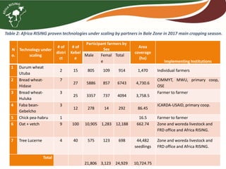 Brief overview of the Africa RISING project in the Ethiopian Highlands: Pre-scaling and scaling initiatives in 2017/2018