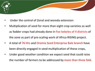 Brief overview of the Africa RISING project in the Ethiopian Highlands: Pre-scaling and scaling initiatives in 2017/2018