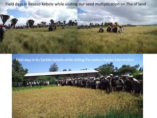 Brief overview of the Africa RISING project in the Ethiopian Highlands: Pre-scaling and scaling initiatives in 2017/2018