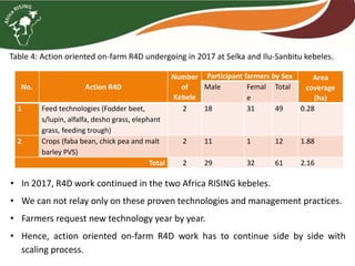 Brief overview of the Africa RISING project in the Ethiopian Highlands: Pre-scaling and scaling initiatives in 2017/2018