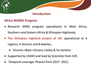 Brief overview of the Africa RISING project in the Ethiopian Highlands: Pre-scaling and scaling initiatives in 2017/2018