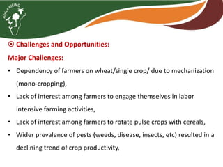 Brief overview of the Africa RISING project in the Ethiopian Highlands: Pre-scaling and scaling initiatives in 2017/2018