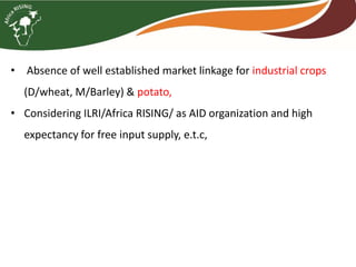 Brief overview of the Africa RISING project in the Ethiopian Highlands: Pre-scaling and scaling initiatives in 2017/2018