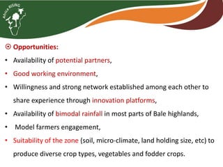 Brief overview of the Africa RISING project in the Ethiopian Highlands: Pre-scaling and scaling initiatives in 2017/2018