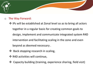 Brief overview of the Africa RISING project in the Ethiopian Highlands: Pre-scaling and scaling initiatives in 2017/2018