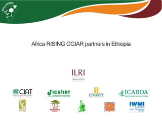Brief overview of the Africa RISING project in the Ethiopian Highlands: Pre-scaling and scaling initiatives in 2017/2018