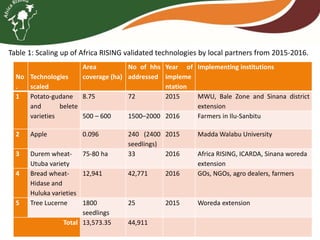 Brief overview of the Africa RISING project in the Ethiopian Highlands: Pre-scaling and scaling initiatives in 2017/2018
