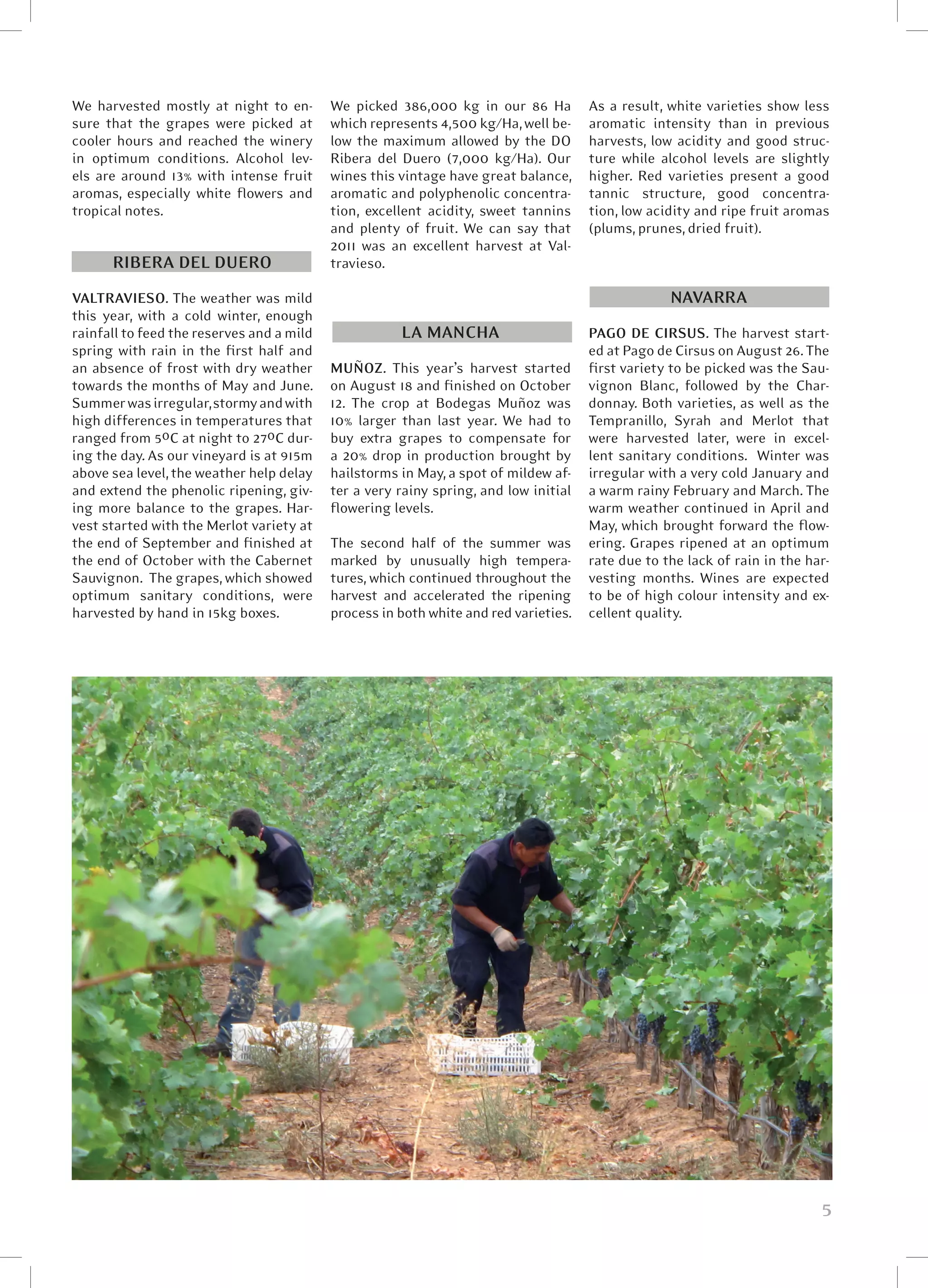 We harvested mostly at night to en-        We picked 386,000 kg in our 86 Ha          As a result, white varieties show less
sure that the grapes were picked at        which represents 4,500 kg/Ha, well be-     aromatic intensity than in previous
cooler hours and reached the winery        low the maximum allowed by the DO          harvests, low acidity and good struc-
in optimum conditions. Alcohol lev-        Ribera del Duero (7,000 kg/Ha). Our        ture while alcohol levels are slightly
els are around 13% with intense fruit      wines this vintage have great balance,     higher. Red varieties present a good
aromas, especially white flowers and       aromatic and polyphenolic concentra-       tannic structure, good concentra-
tropical notes.                            tion, excellent acidity, sweet tannins     tion, low acidity and ripe fruit aromas
                                           and plenty of fruit. We can say that       (plums, prunes, dried fruit).
                                           2011 was an excellent harvest at Val-
      RIBERA DEL DUERO                     travieso.

VALTRAVIESO. The weather was mild                                                                  NAVARRA
this year, with a cold winter, enough
rainfall to feed the reserves and a mild              LA MANCHA                       PAGO DE CIRSUS. The harvest start-
spring with rain in the first half and                                                ed at Pago de Cirsus on August 26. The
an absence of frost with dry weather       MUÑOZ. This year’s harvest started         first variety to be picked was the Sau-
towards the months of May and June.        on August 18 and finished on October       vignon Blanc, followed by the Char-
Summer was irregular, stormy and with      12. The crop at Bodegas Muñoz was          donnay. Both varieties, as well as the
high differences in temperatures that      10% larger than last year. We had to       Tempranillo, Syrah and Merlot that
ranged from 5ºC at night to 27ºC dur-      buy extra grapes to compensate for         were harvested later, were in excel-
ing the day. As our vineyard is at 915m    a 20% drop in production brought by        lent sanitary conditions.   Winter was
above sea level, the weather help delay    hailstorms in May, a spot of mildew af-    irregular with a very cold January and
and extend the phenolic ripening, giv-     ter a very rainy spring, and low initial   a warm rainy February and March. The
ing more balance to the grapes. Har-       flowering levels.                          warm weather continued in April and
vest started with the Merlot variety at                                               May, which brought forward the flow-
the end of September and finished at       The second half of the summer was          ering. Grapes ripened at an optimum
the end of October with the Cabernet       marked by unusually high tempera-          rate due to the lack of rain in the har-
Sauvignon.  The grapes, which showed       tures, which continued throughout the      vesting months. Wines are expected
optimum sanitary conditions, were          harvest and accelerated the ripening       to be of high colour intensity and ex-
harvested by hand in 15kg boxes.           process in both white and red varieties.   cellent quality.




                                                                                                                            5
 