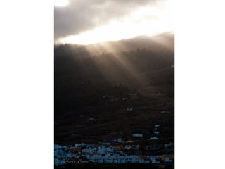 Arafo   tenerife