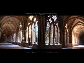 F o t o s  y  p r e s e n t a c i o n:  a n t o n i o  m o r o s M u s i c a :  J. S. Bach - concierto violin, cuerdas y continuo 