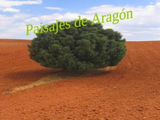 Paisajes de Aragón 