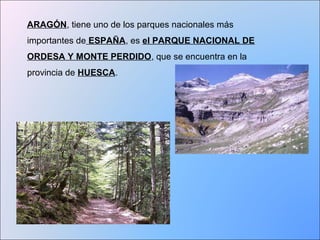 ARAGÓN, tiene uno de los parques nacionales más 
importantes de ESPAÑA, es el PARQUE NACIONAL DE 
ORDESA Y MONTE PERDIDO, que se encuentra en la 
provincia de HUESCA. 
 