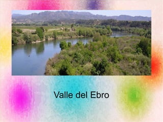 Valle del Ebro
 