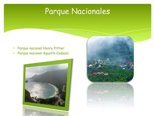 Parque Nacionales



Parque nacional Henry Pittier
Parque nacional Agustín Codazzi.
 