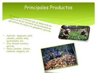 Principales Productos




•   Agrícola : Aguacate, café,
    caraota, cebolla, maíz,
    quinchoncho, etc.
•   Cría: Avícola, bovino y
    porcino.
•   Pesca: Sardina , Cataco,
    Camarón, langosta, etc.
 