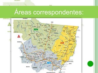 Norte Araguaia
Médio Araguaia
Áreas correspondentes:
 