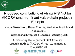 Proposed contributions of Africa RISING for
AICCRA small ruminant value chain project in
Ethiopia
Kindu Mekonnen, Peter Thorne, Melkamu Bezabih and
Aberra Adie
International Livestock Research Institute (ILRI)
Accelerating the impacts of CGIAR climate
research in Africa (AICCRA) Virtual team meeting
21 August 2020
 