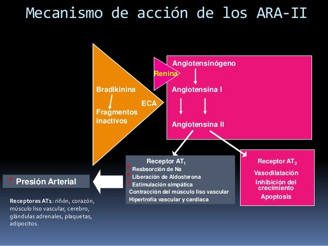 Mecanismo De Accion De Los Ara 2