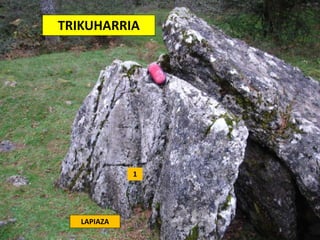 TRIKUHARRIA
1
LAPIAZA
 