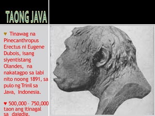 Taong Java