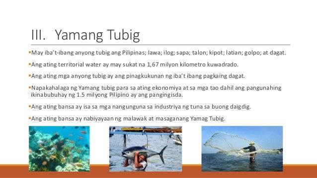 Pinagkukunang Yaman Ng Pilipinas