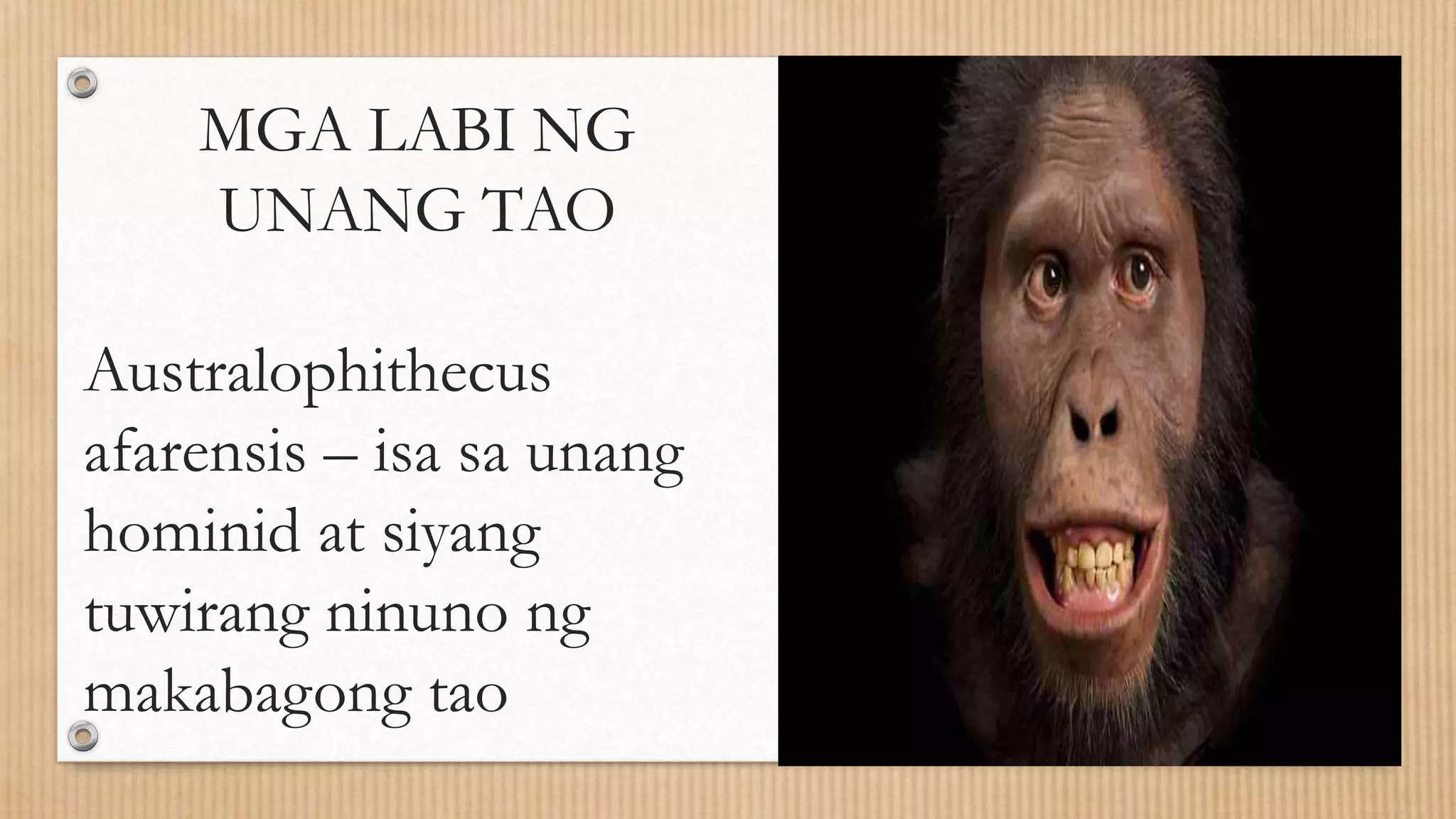 Mga Sinaunang Pilipino | PPTX