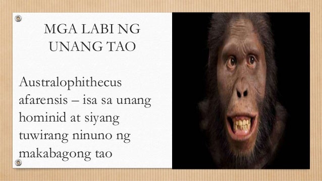 Bakit Mahalaga Sa Sinaunang Kasaysayan Ang Callao Man Bakit Mahalaga Sa Sinaunang Kasaysayan Ang Callao Man