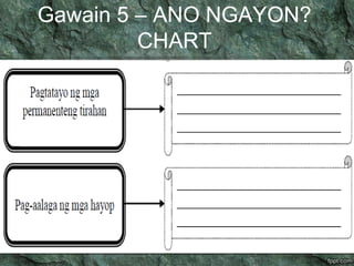 Gawain 5 – ANO NGAYON? 
CHART 
 