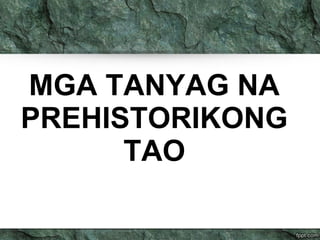MGA TANYAG NA 
PREHISTORIKONG 
TAO 
 