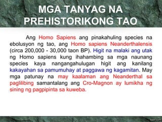 MGA TANYAG NA 
PREHISTORIKONG TAO 
Ang Homo Sapiens ang pinakahuling species na 
ebolusyon ng tao, ang Homo sapiens Neanderthalensis 
(circa 200,000 - 30,000 taon BP). Higit na malaki ang utak 
ng Homo sapiens kung ihahambing sa mga naunang 
species kaya nangangahulugan higit ang kanilang 
kakayahan sa pamumuhay at paggawa ng kagamitan. May 
mga patunay na may kaalaman ang Neanderthal sa 
paglilibing samantalang ang Cro-Magnon ay lumikha ng 
sining ng pagpipinta sa kuweba. 
 
