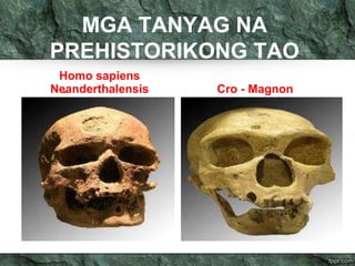 MGA TANYAG NA 
PREHISTORIKONG TAO 
Homo sapiens 
Neanderthalensis 
. Cro - Magnon 
 