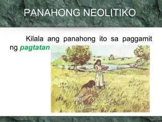 PANAHONG NEOLITIKO 
Kilala ang panahong ito sa paggamit 
ng pagtatanim, 
 