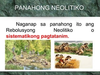 PANAHONG NEOLITIKO 
Naganap sa panahong ito ang 
Rebolusyong Neolitiko o 
sistematikong pagtatanim. 
 