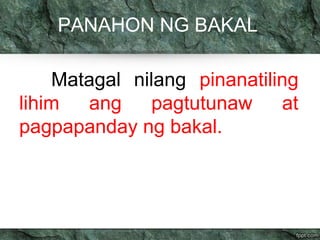 PANAHON NG BAKAL 
Matagal nilang pinanatiling 
lihim ang pagtutunaw at 
pagpapanday ng bakal. 
 