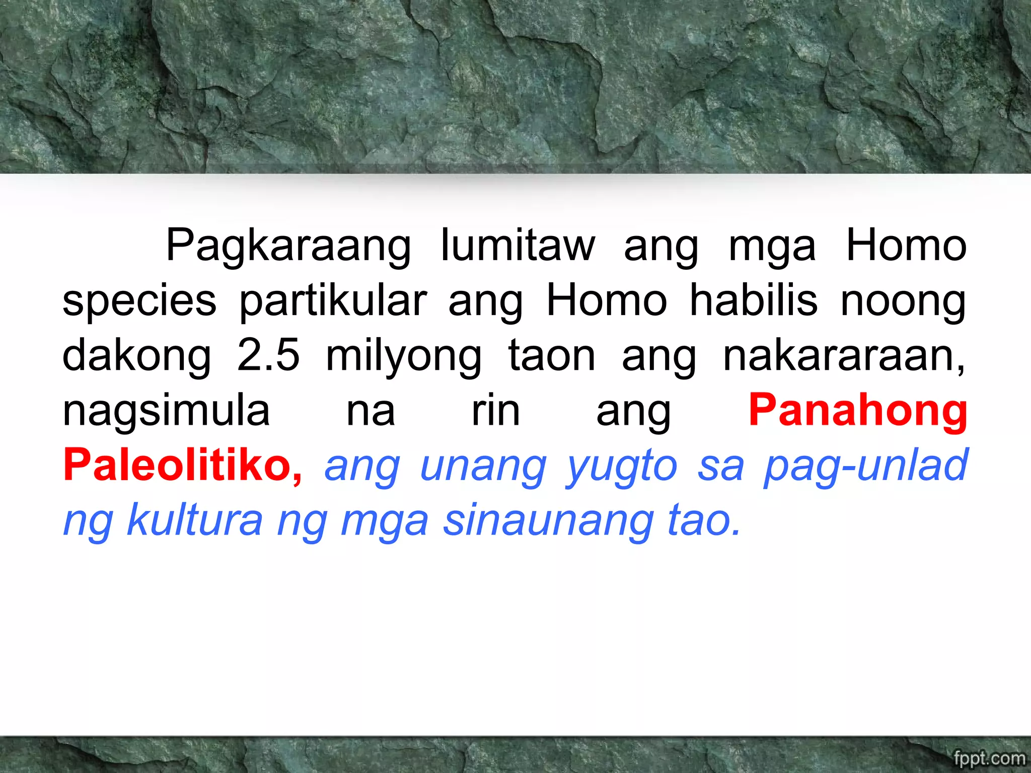 Pagkaraang lumitaw ang mga Homo
species partikular ang Homo habilis noong
dakong 2.5 milyong taon ang nakararaan,
nagsimula na rin ang Panahong
Paleolitiko, ang unang yugto sa pag-unlad
ng kultura ng mga sinaunang tao.
 