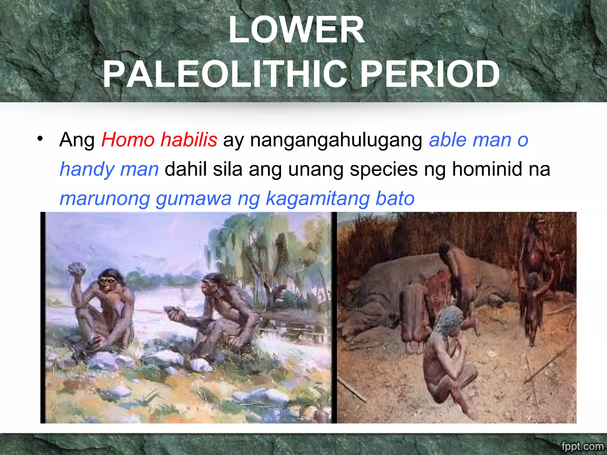 LOWER
PALEOLITHIC PERIOD
• Ang Homo habilis ay nangangahulugang able man o
handy man dahil sila ang unang species ng hominid na
marunong gumawa ng kagamitang bato
 
