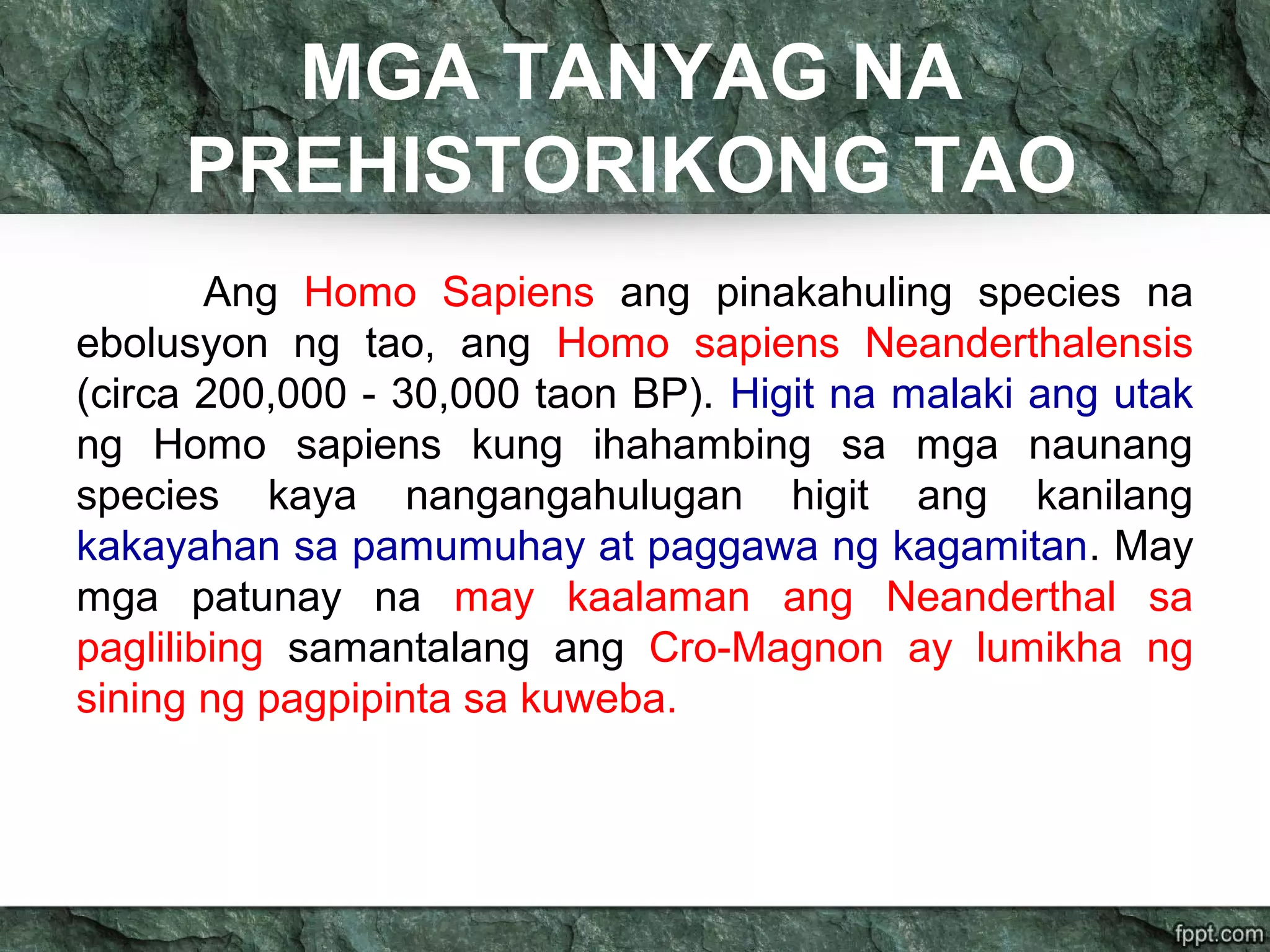 MGA TANYAG NA
PREHISTORIKONG TAO
Ang Homo Sapiens ang pinakahuling species na
ebolusyon ng tao, ang Homo sapiens Neanderthalensis
(circa 200,000 - 30,000 taon BP). Higit na malaki ang utak
ng Homo sapiens kung ihahambing sa mga naunang
species kaya nangangahulugan higit ang kanilang
kakayahan sa pamumuhay at paggawa ng kagamitan. May
mga patunay na may kaalaman ang Neanderthal sa
paglilibing samantalang ang Cro-Magnon ay lumikha ng
sining ng pagpipinta sa kuweba.
 