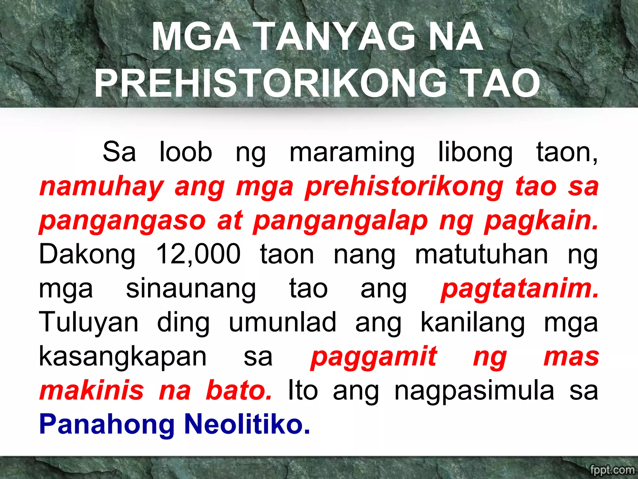 MGA TANYAG NA
PREHISTORIKONG TAO
Sa loob ng maraming libong taon,
namuhay ang mga prehistorikong tao sa
pangangaso at pangangalap ng pagkain.
Dakong 12,000 taon nang matutuhan ng
mga sinaunang tao ang pagtatanim.
Tuluyan ding umunlad ang kanilang mga
kasangkapan sa paggamit ng mas
makinis na bato. Ito ang nagpasimula sa
Panahong Neolitiko.
 