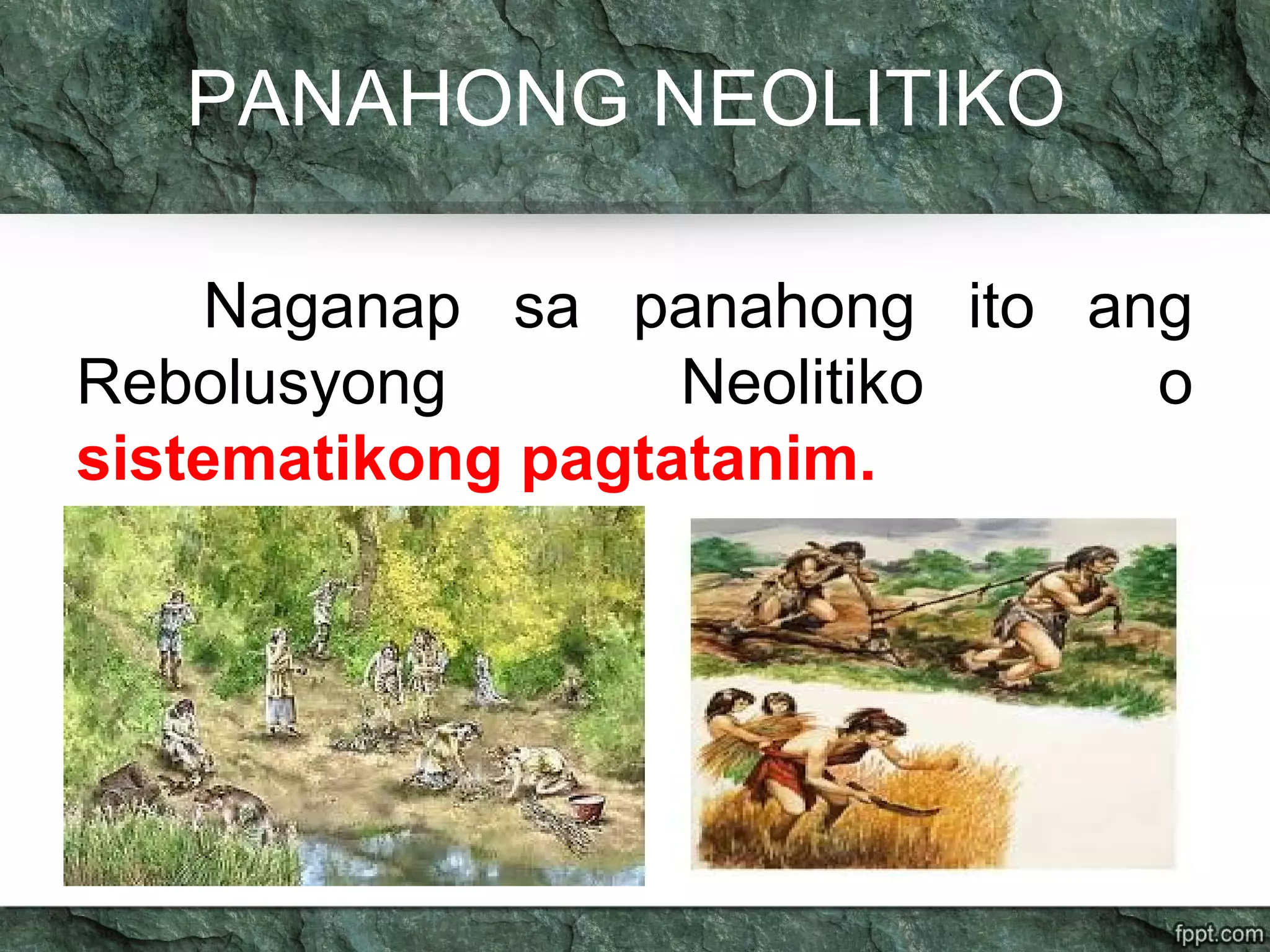 PANAHONG NEOLITIKO
Naganap sa panahong ito ang
Rebolusyong Neolitiko o
sistematikong pagtatanim.
 