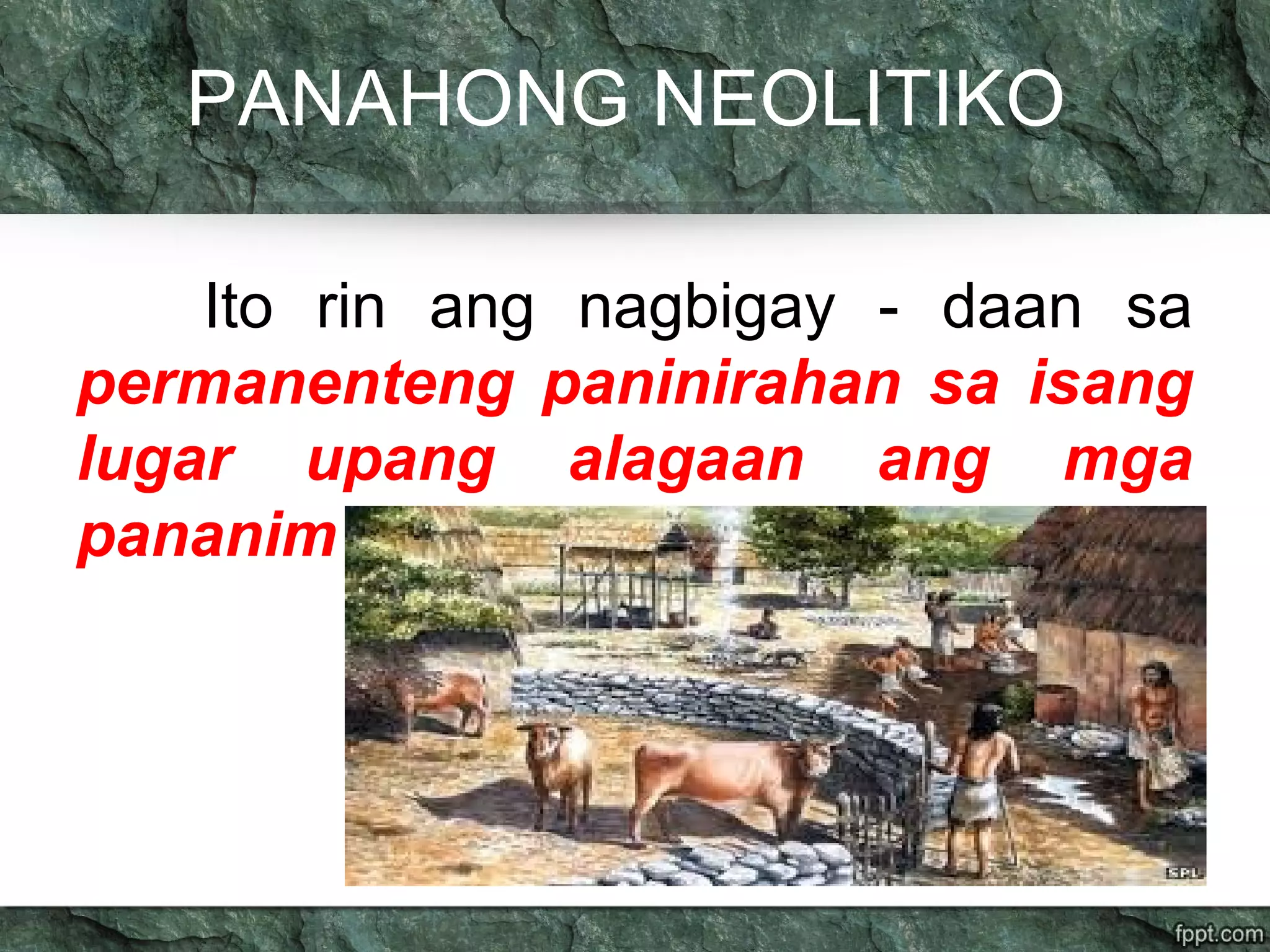 PANAHONG NEOLITIKO
Ito rin ang nagbigay - daan sa
permanenteng paninirahan sa isang
lugar upang alagaan ang mga
pananim
 