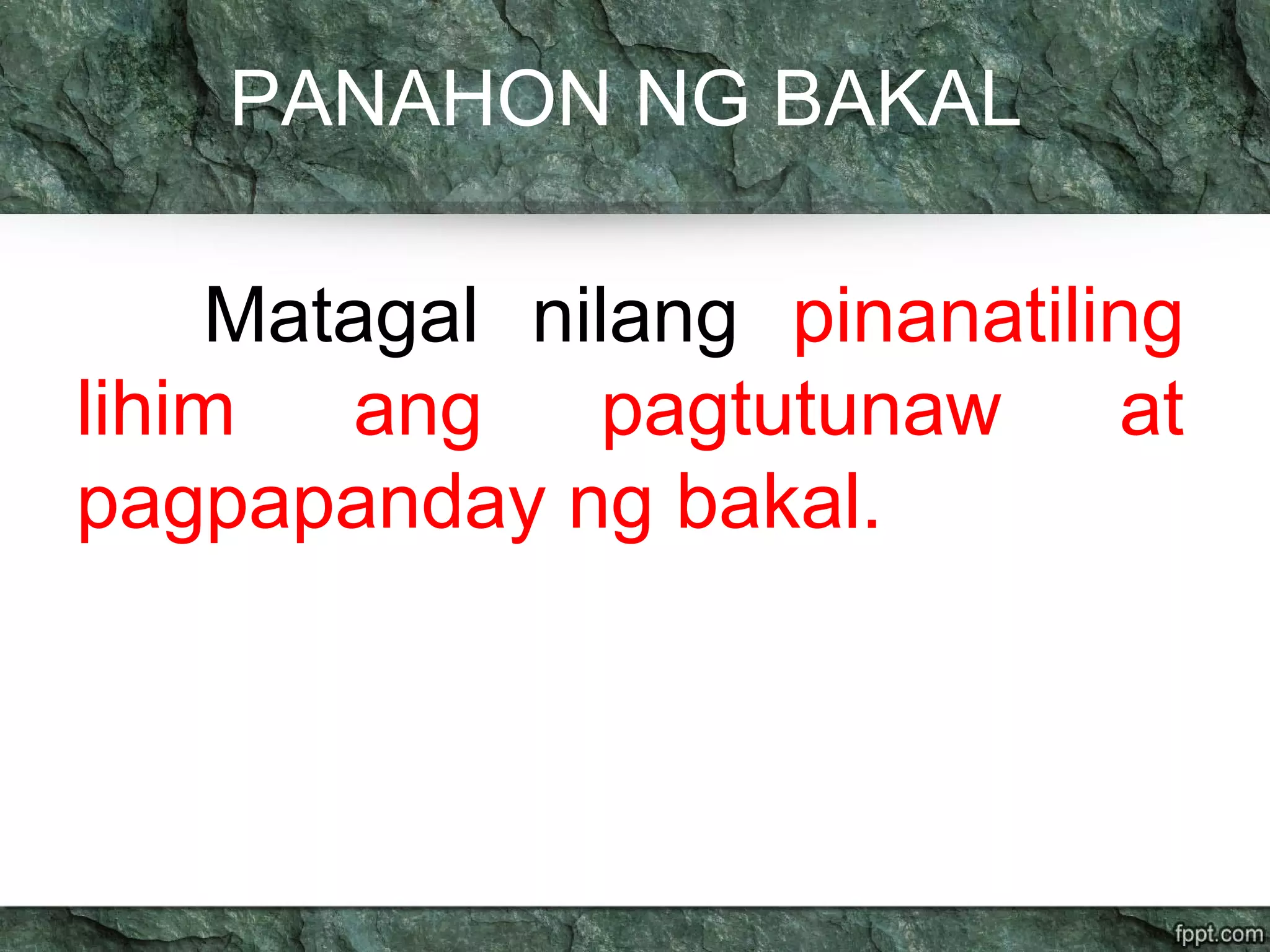 PANAHON NG BAKAL
Matagal nilang pinanatiling
lihim ang pagtutunaw at
pagpapanday ng bakal.
 