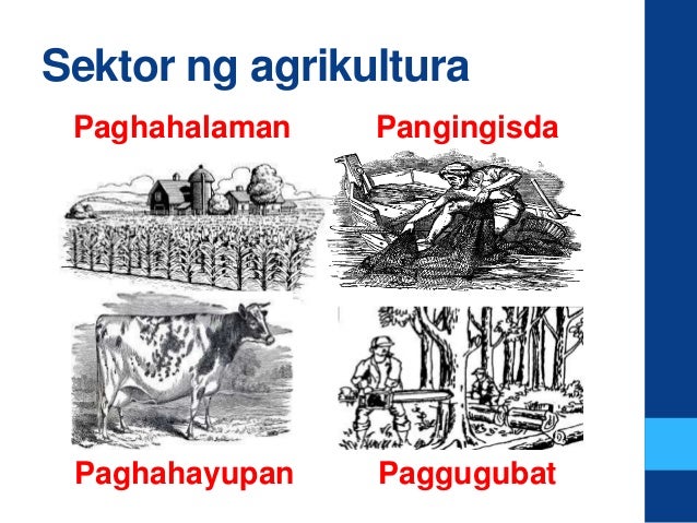 Halimbawa Ng Sektor Ng Agrikultura